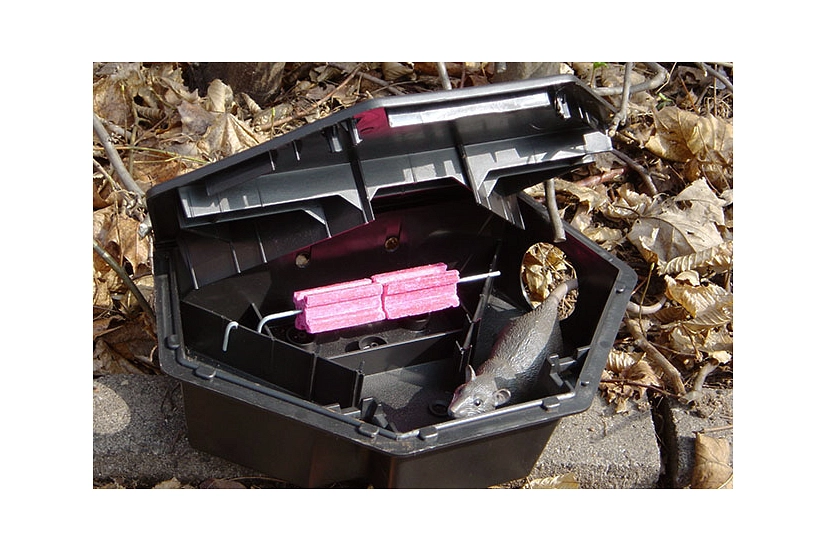 Das Foto zeigt eine geöffnete Köderbox mit Ködern und einer Rattenatrappe.&nbsp;&copy;&nbsp;DBM, Sonja Stender